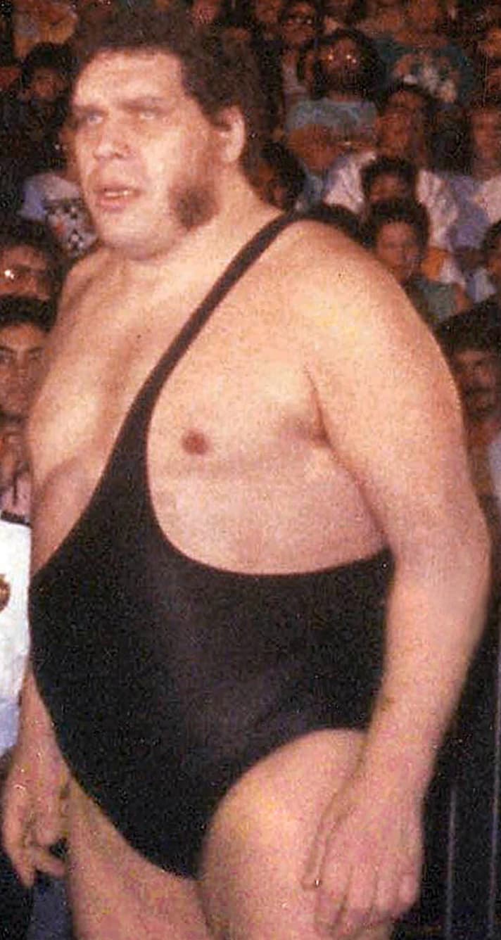 andre the giant